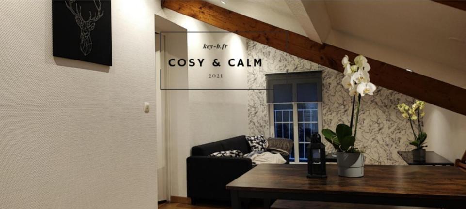 Apartament Calm & Cosy Freyming-Merlebach Zewnętrze zdjęcie
